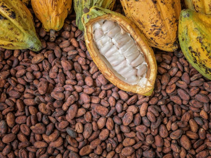 Nigeria Aims To Become Leading Global Cocoa Processor – Fg