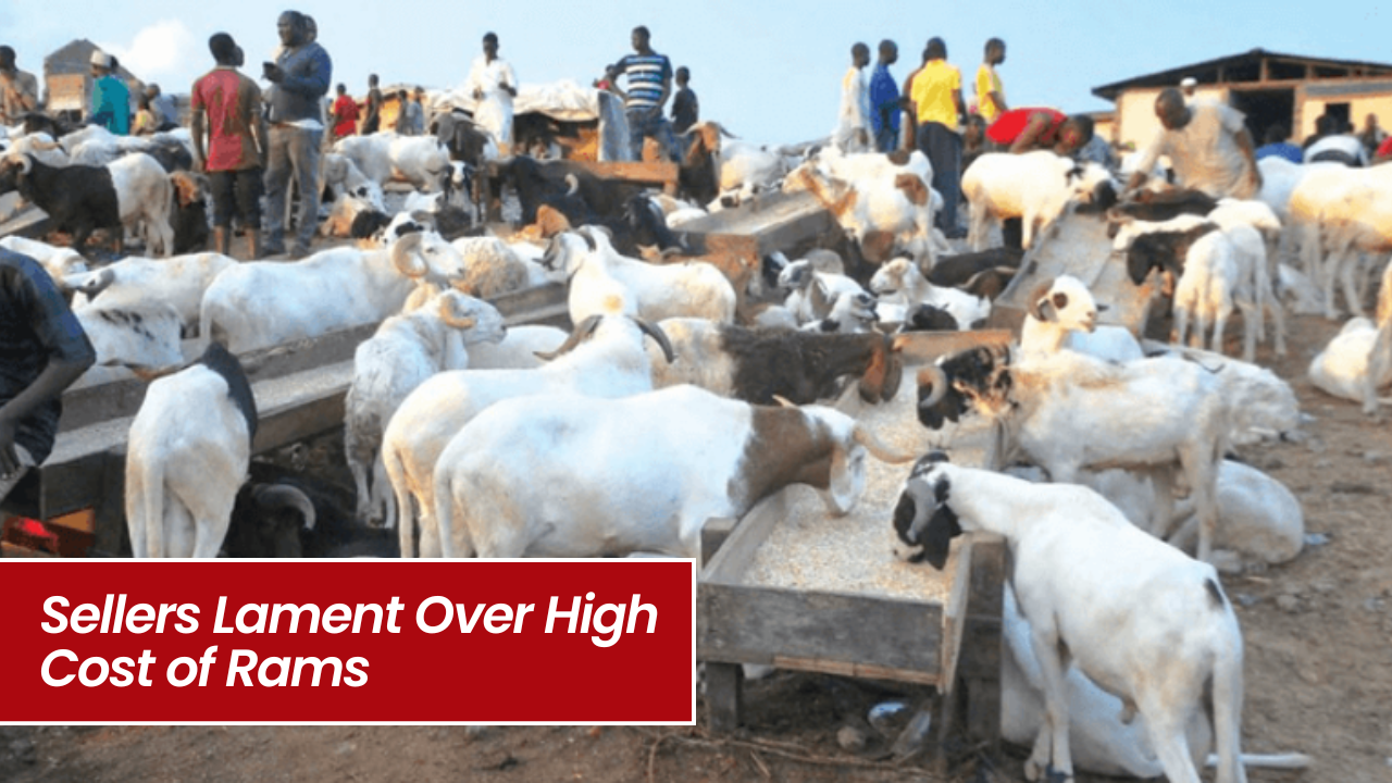 Sallah Wahala: Rams Too Costly, Sellers Cry