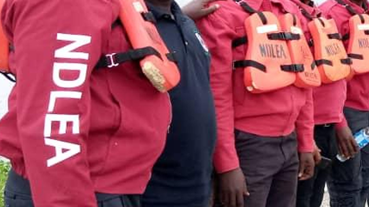 Ndlea Partners With Traditional Boxing Group To Curb Drug Abuse In Kano