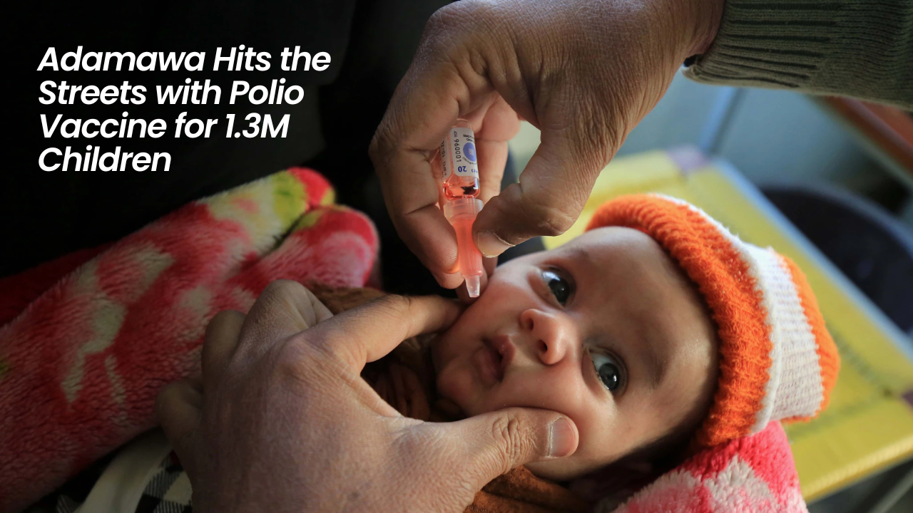 Adamawa Hits The Streets With Polio Vaccine For 1.3m Children
