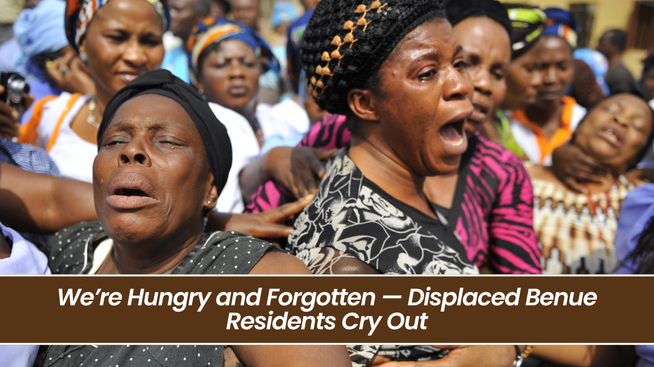 We’re Hungry and Forgotten — Displaced Benue Residents Cry Out