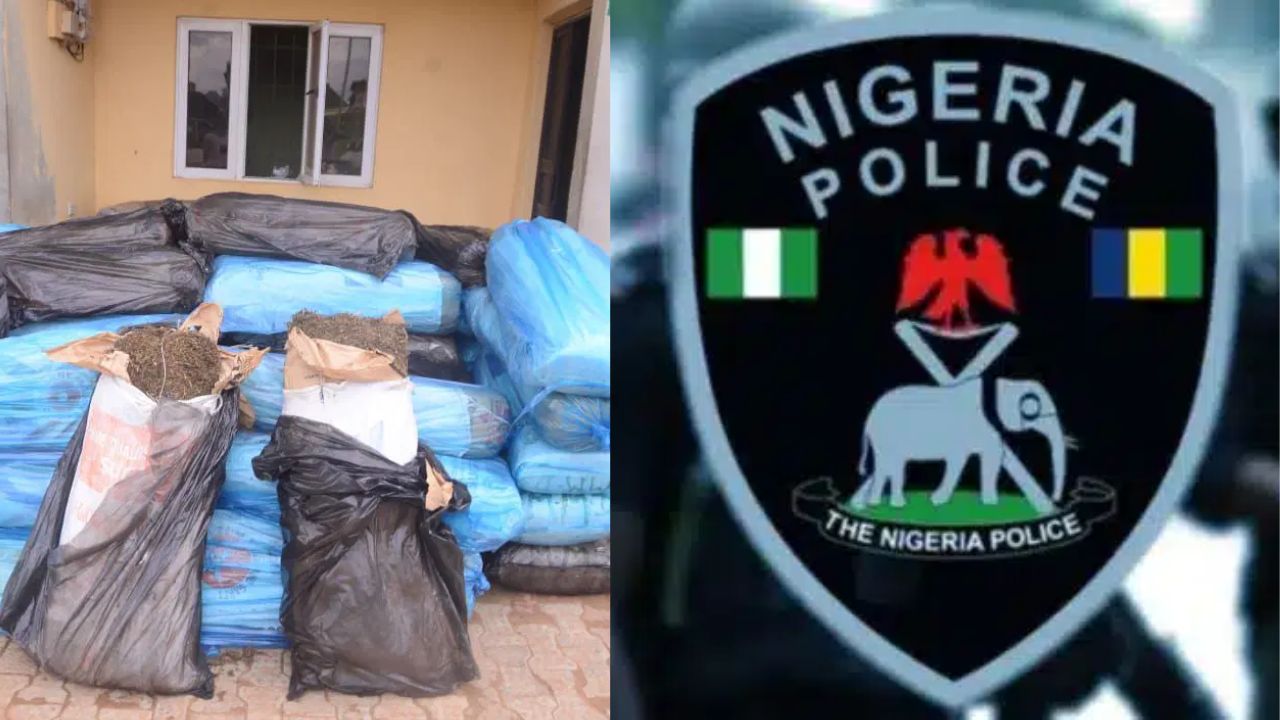 Ondo Police Seize 51 Bags of Suspected Indian Hemp, Arrest Two from Kaduna