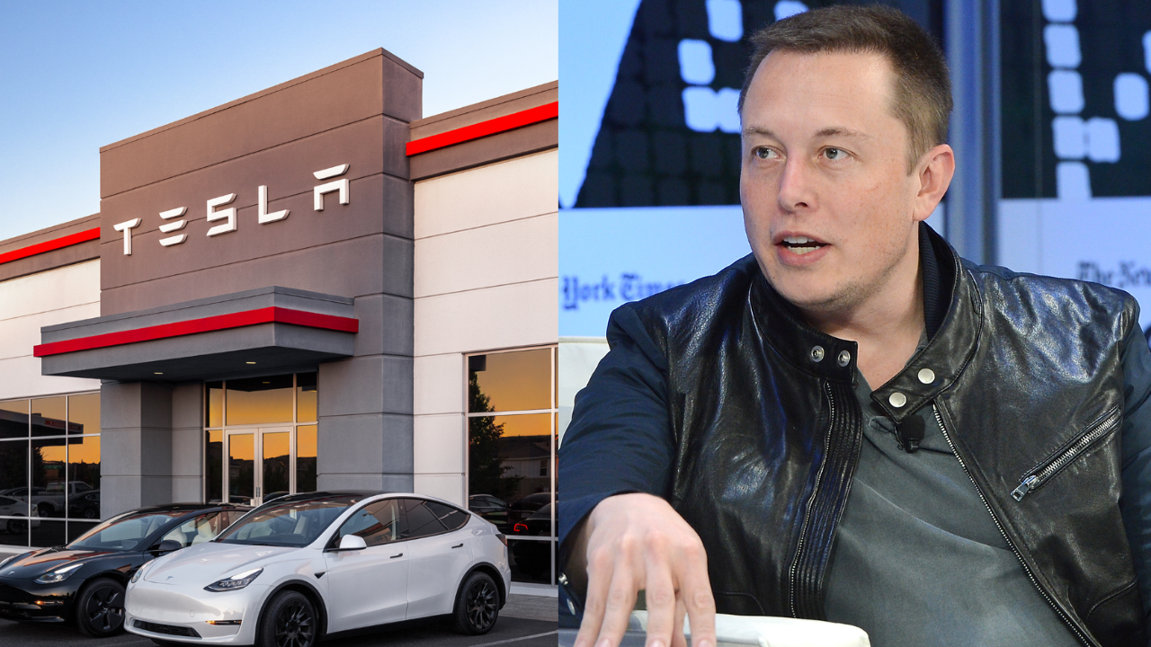 Elon Musk’s Tesla Breaks New Ground: $560M Grid-Scale Power Plant to Rise in China