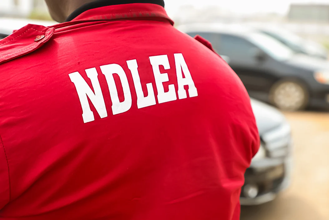 NDLEA Arrests Woman With Cocaine Hidden in Luggage Walls, Claims She Was Headed for Surgery in India