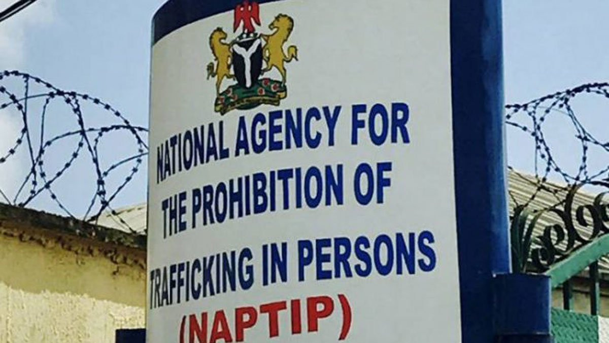 NAPTIP: Young Nigerians in Anambra Turning Motherhood into a Baby Trade