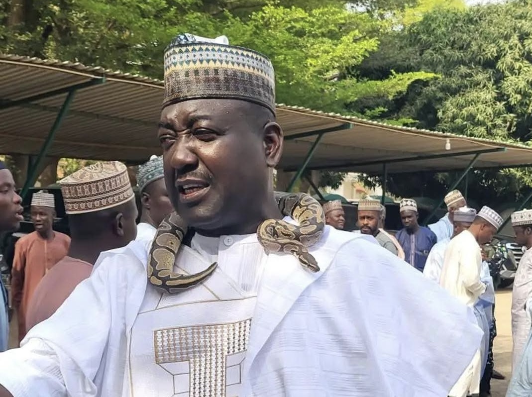 APC Reinstates Kebbi Gov’s Adviser Suspended for Bringing Snake to Office