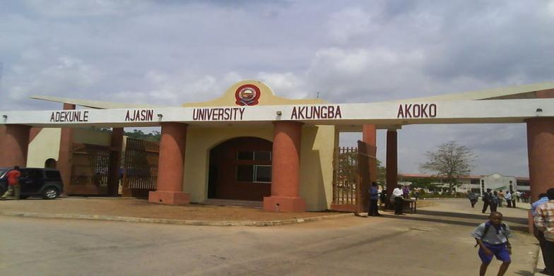 Prime Suspect in Murder of AAUA Students Dies After Confessing