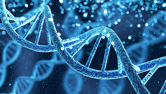 Scientists Uncover Hidden “Viral Code” in Human DNA That Controls Gene Activity