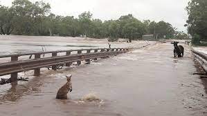 Oyo Communities Cut Off as Flood Destroys Major Bridge