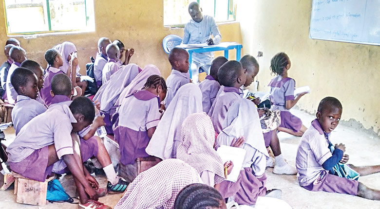 Rights Group Backs Law to Make Public Schools, Hospitals Mandatory for Politicians