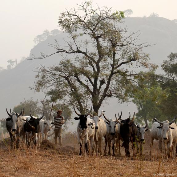 Suspected Herdsmen Behead Farmer in Benue, Cut Off His Hand