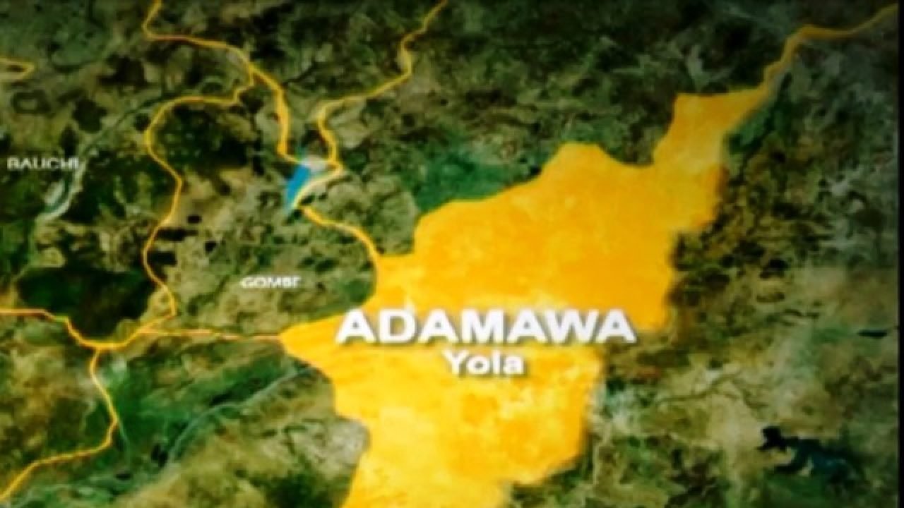 Yola Specialist Hospital Denies Child Theft Rumour, Says It’s Fake News