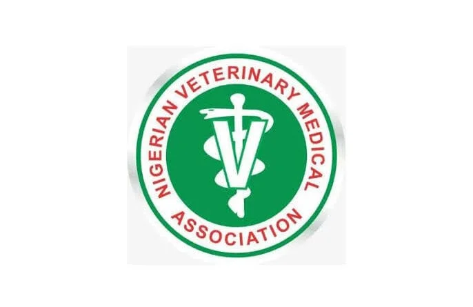 Rabies Outbreak Confirmed in Ajah, Lagos—Fake Vets Blamed
