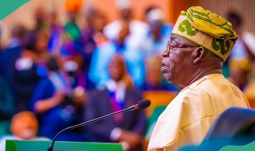 ‘We Can’t Be Bought’: Northern Ex-Lawmakers Slam Tinubu Endorsement