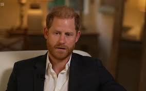 Prince Harry Cleared of Bullying Claims at African Charity Sentebale