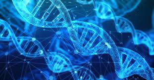 Scientists Create ‘Evolution Engine’ to Develop Super-Proteins 100,000× Faster