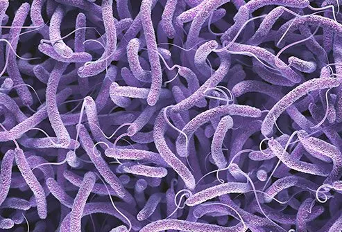 Cholera Outbreak in Niger State: Death Toll Hits 16 as UNICEF Steps Up Support