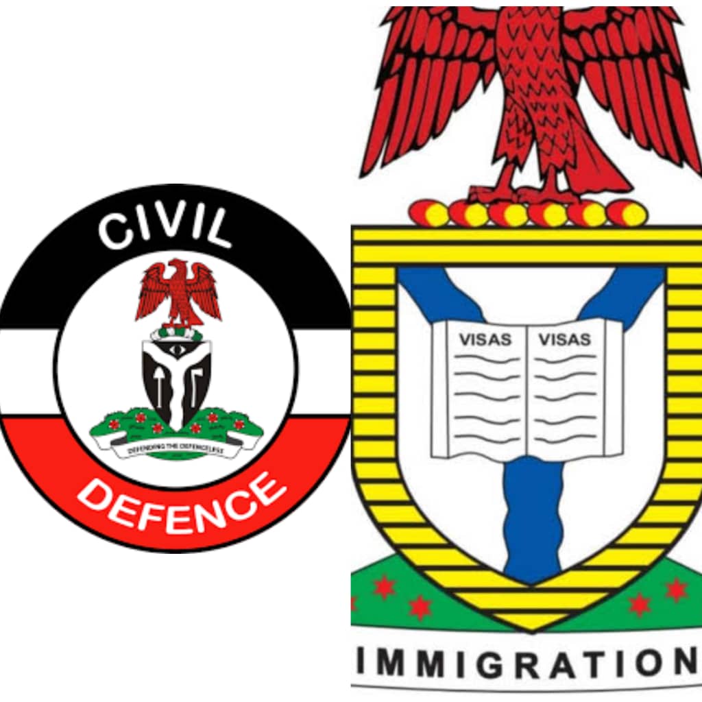 Nearly 2 Million Nigerians Apply for Civil Defence, Immigration, Fire Service Jobs