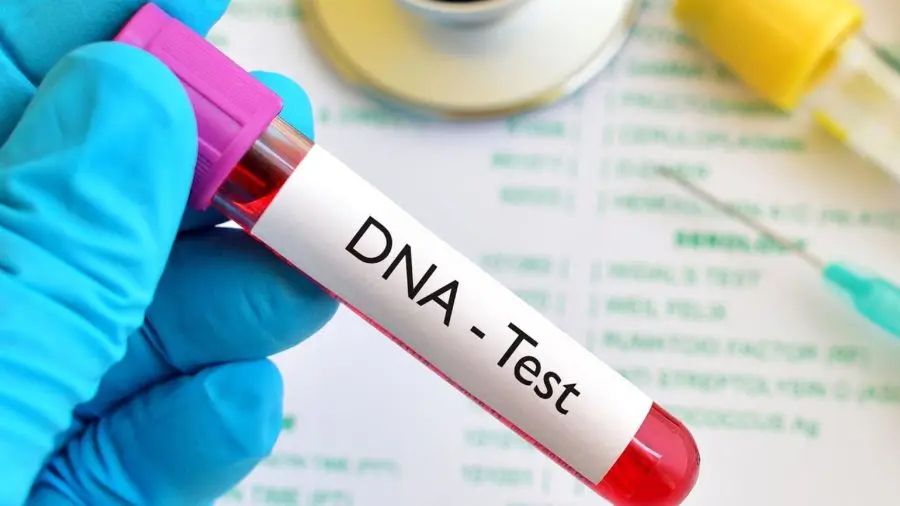 DNA Test Reports Spark Heated Debate on Paternity in Nigeria