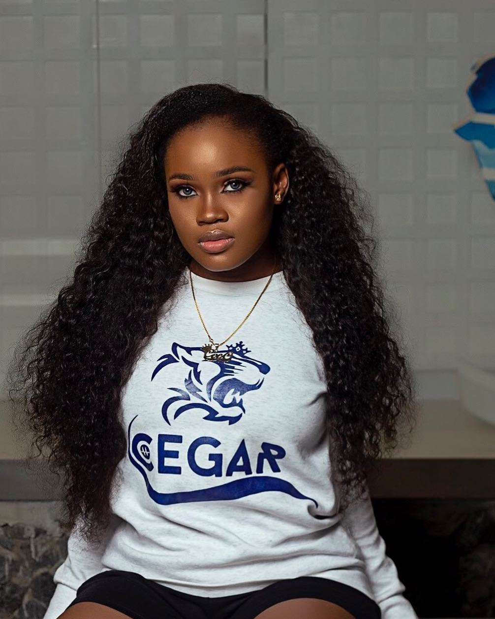 BBNaija Fame Is Too Quick and Hard to Sustain – Ceec