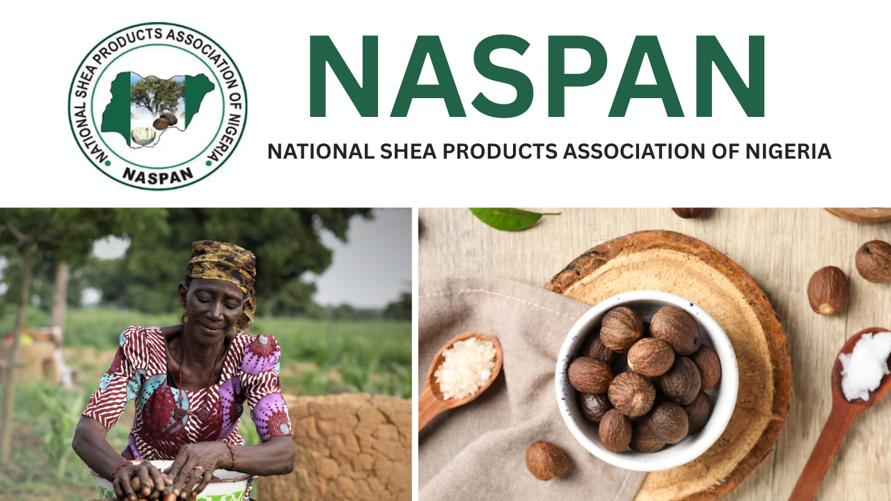 NASPAN Calls for 90-Day Grace Period Over Shea Export Suspension