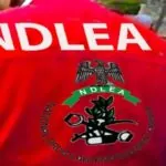 NDLEA Seizes 112kg of Cannabis After Road Accident in Kano
