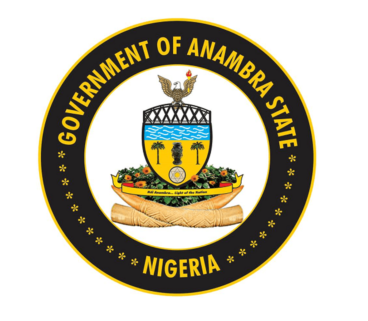 Anambra Govt Debunks Rumour of Second Airport Project