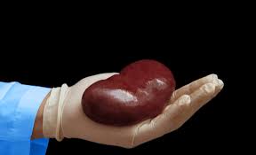 Over 650 Kidneys Worth $41bn Illegally Trafficked in Nigeria – Expert