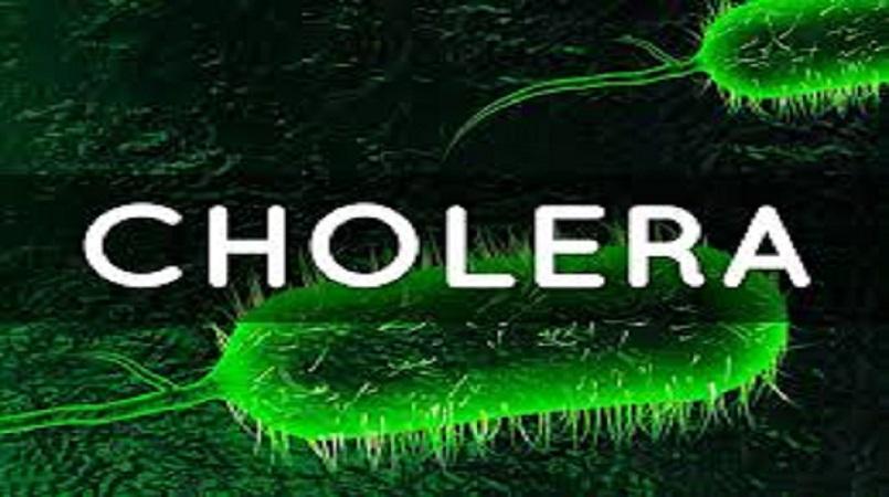 Bauchi Govt Sets Up Committee to Curb Cholera Outbreak