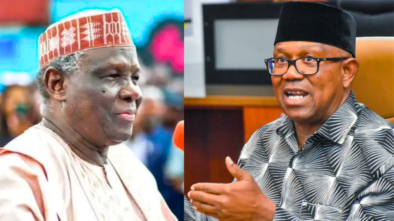 2027: Jonathan Set to Return as PDP Presidential Candidate — Jerry Gana