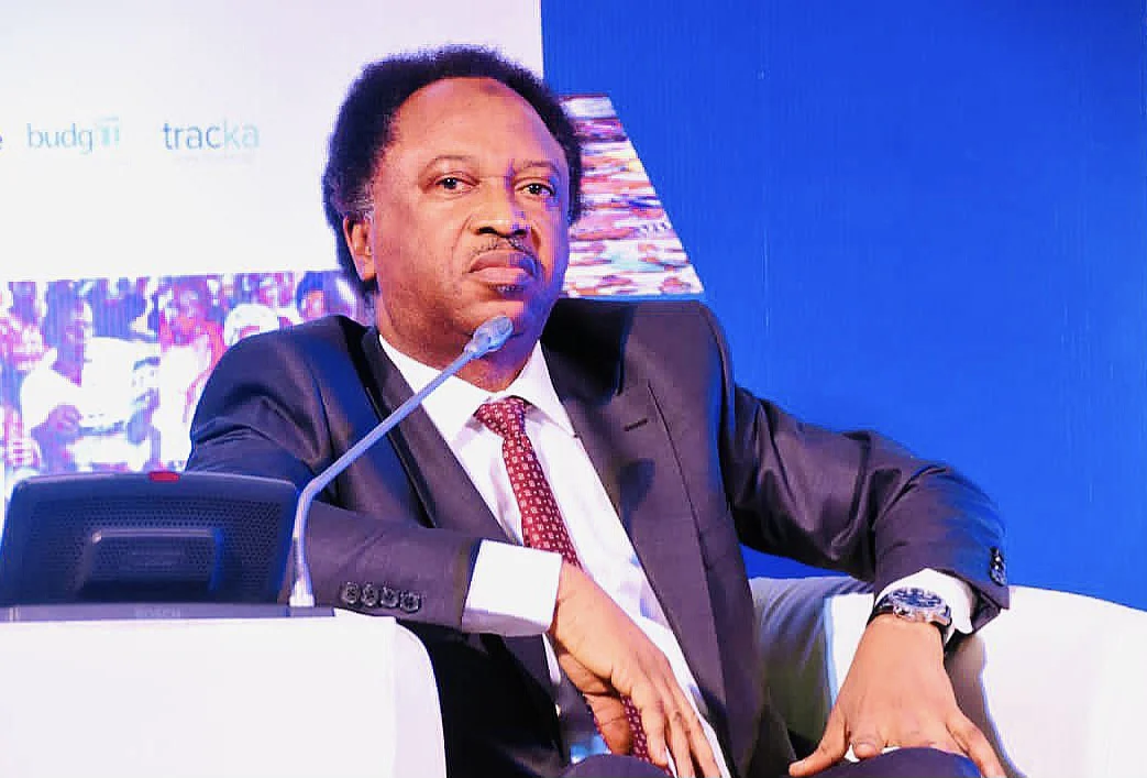 Shehu Sani: Secondary School Certificate Sufficient for Political Office