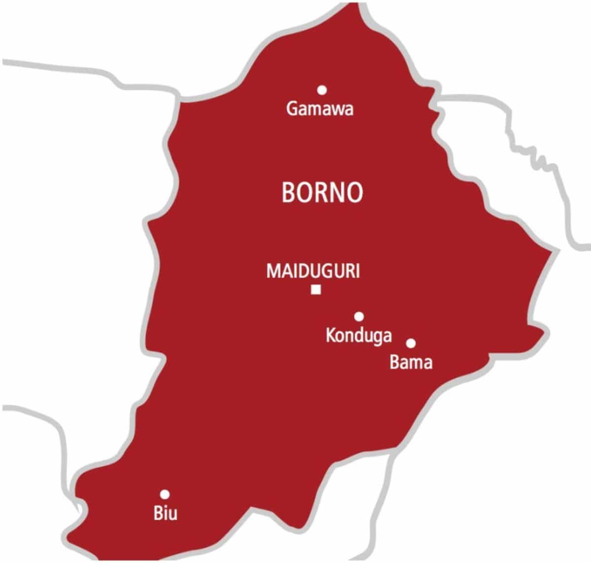 Troops Arrest Logistics and Drug Suppliers to Terrorists in Borno