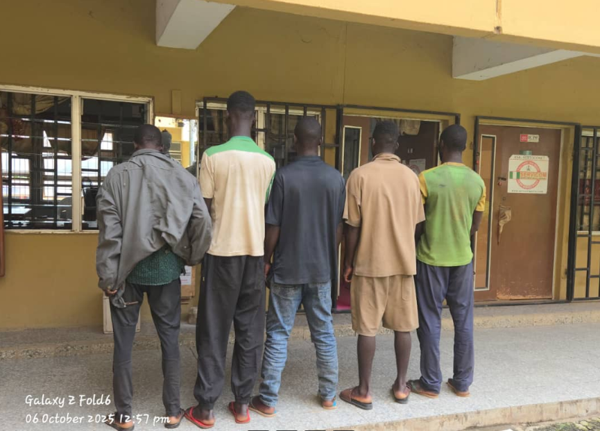 NSCDC Intercepts Trailer Loaded with Stolen NNPC Pipes Hidden in Chaff, Arrests Five Suspects in Adamawa