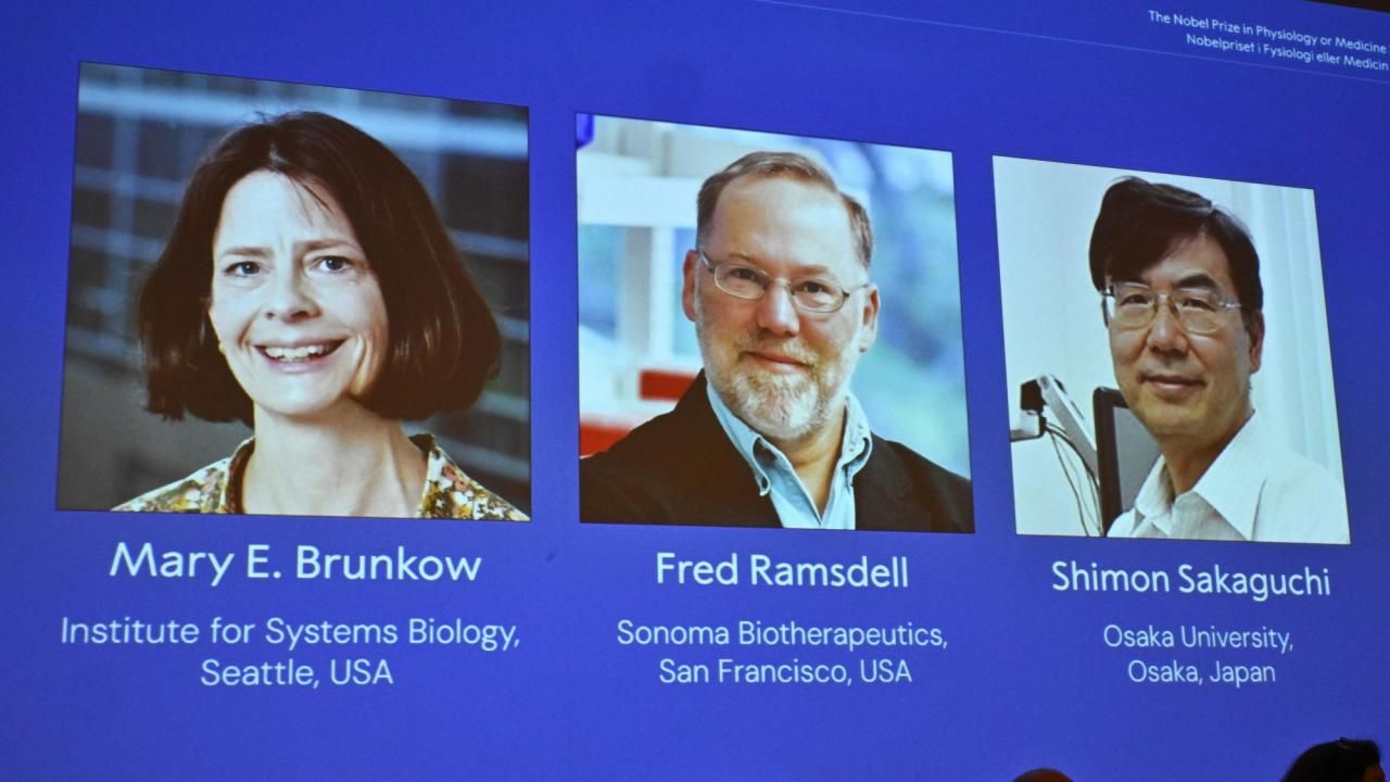 Three Scientists Win 2025 Nobel Prize in Medicine for Groundbreaking Work on Immune Tolerance