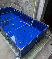 THE AUTOGRAPH TRANSIT