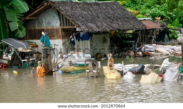 SEMA, NEMA, Red Cross Conduct Joint Assessment of Flood Disaster in Sokoto