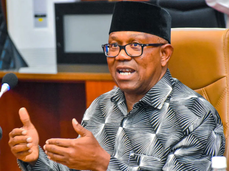 2027: I Won’t Be Anyone’s Vice-Presidential Candidate, Says Peter Obi