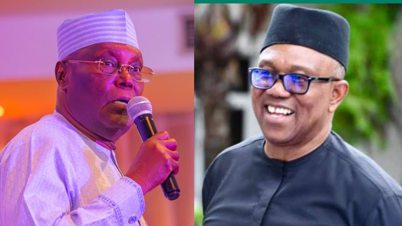 2027: Obi, Atiku Never Discussed Compromising ADC Presidential Ticket — Ibe