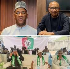 I never declared to contest presidency – Datti Baba-Ahmed