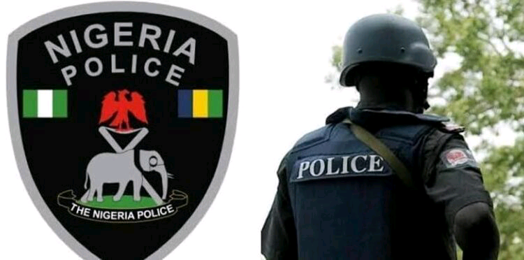 Police arrest three for armed robbery in Adamawa