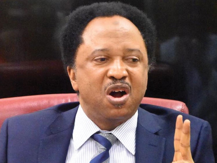 Stop tweeting, start contesting, Shehu Sani tells Nigerians in their 30s–50s