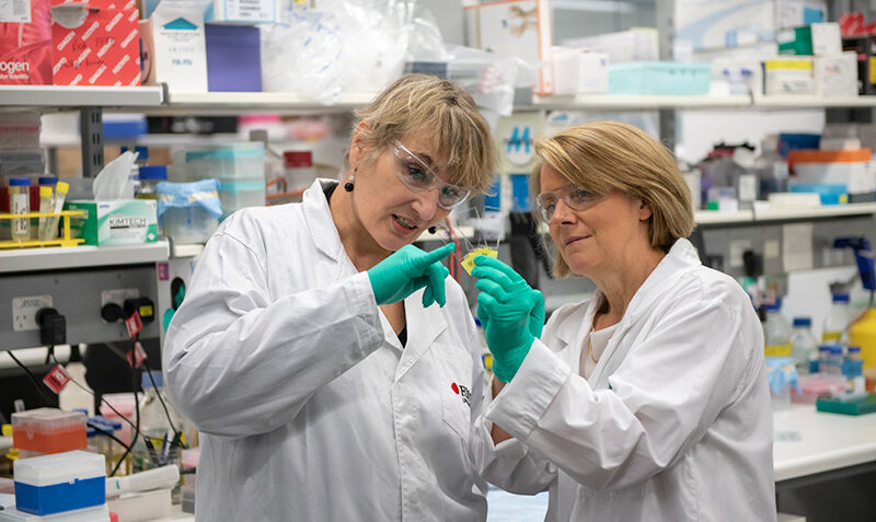 New Australian research offers hope for rare blood cancer patients