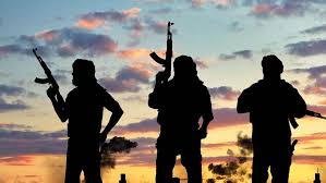 Gunmen attack Enugu police checkpoint, kill two officers