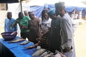 LG boss urges fish market traders to prioritise sanitation