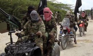 Terrorists kidnap six family members in Adamawa