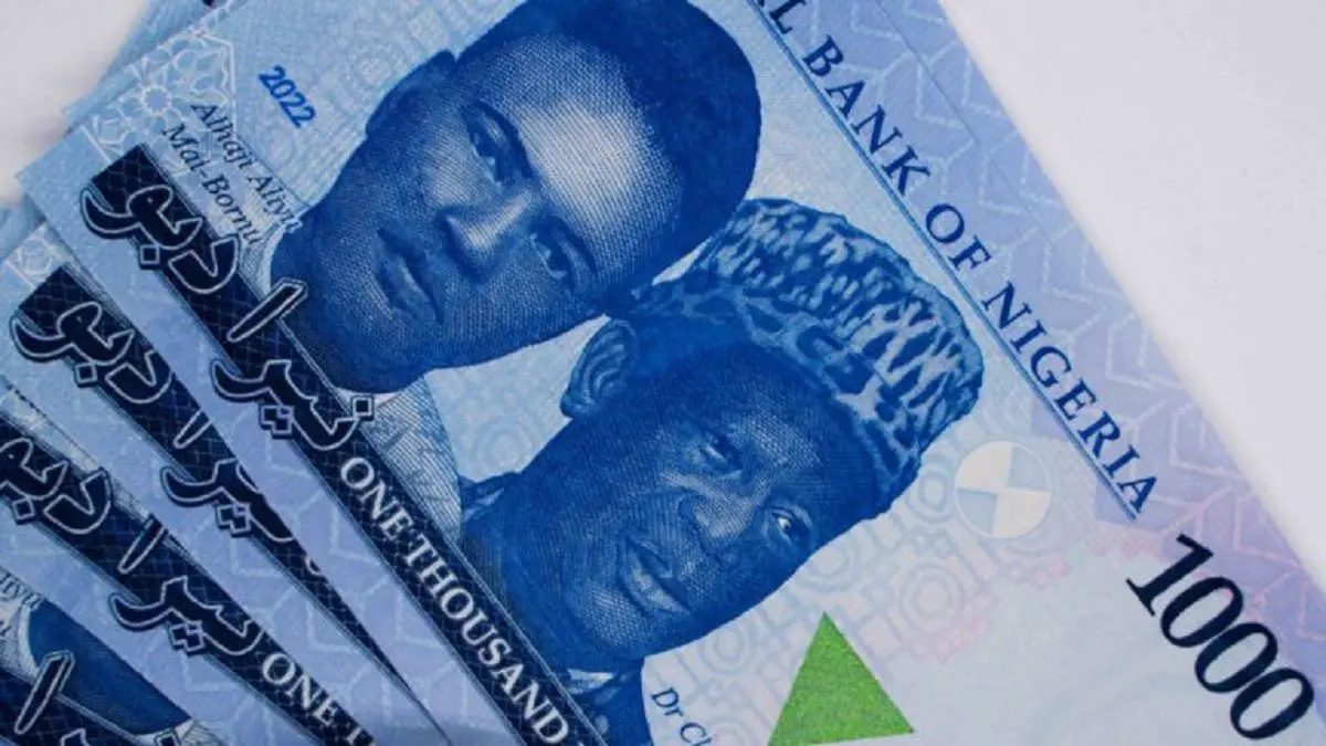 Naira Slumps Weekly Against Dollar At Official And Parallel Markets