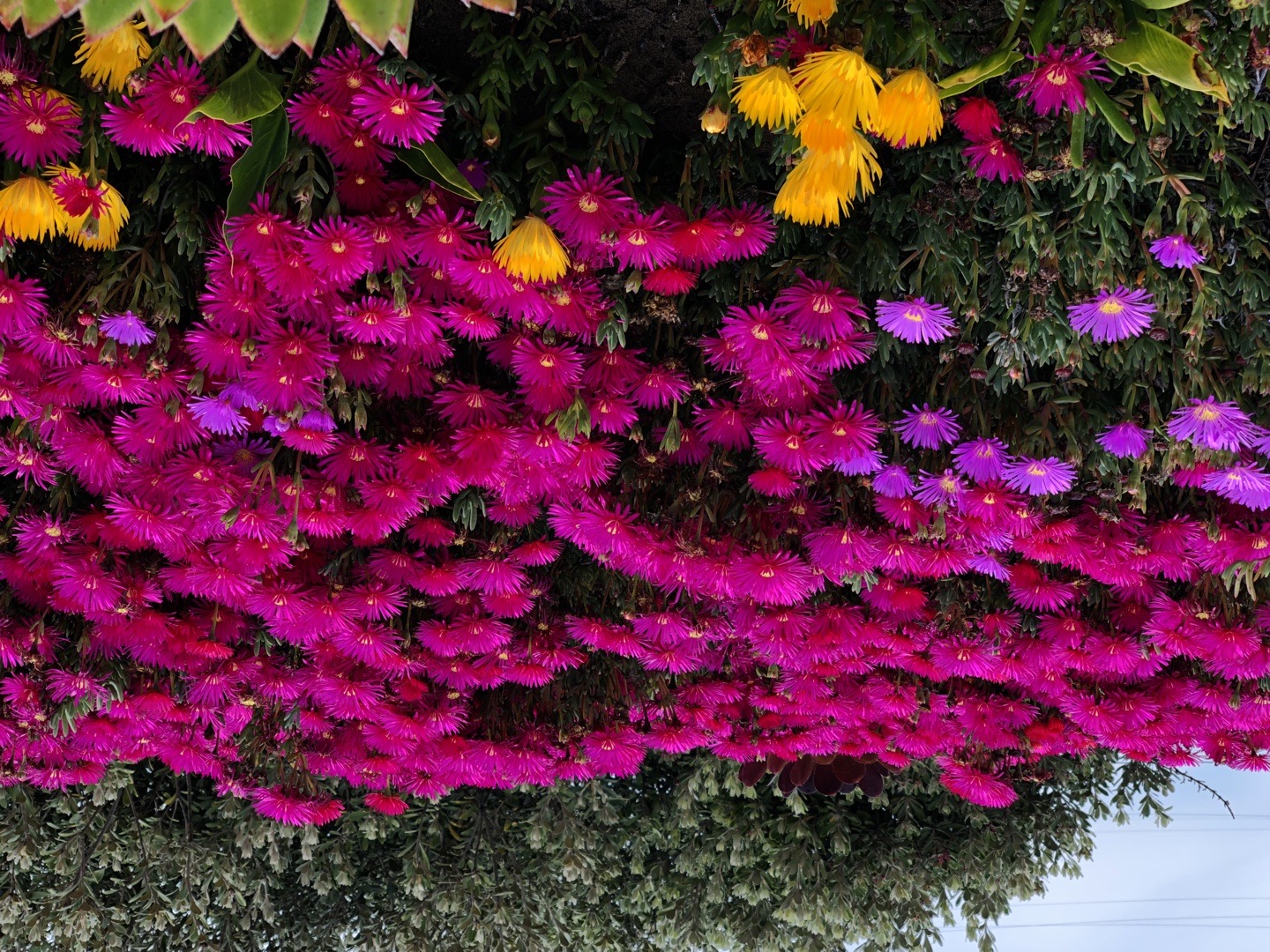 Luxury 3 Bedroom Apartment with Parkingg