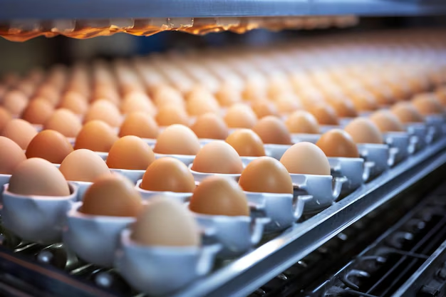 Oyiola Explains Surge In Egg Prices To N8,500 In Nigeria