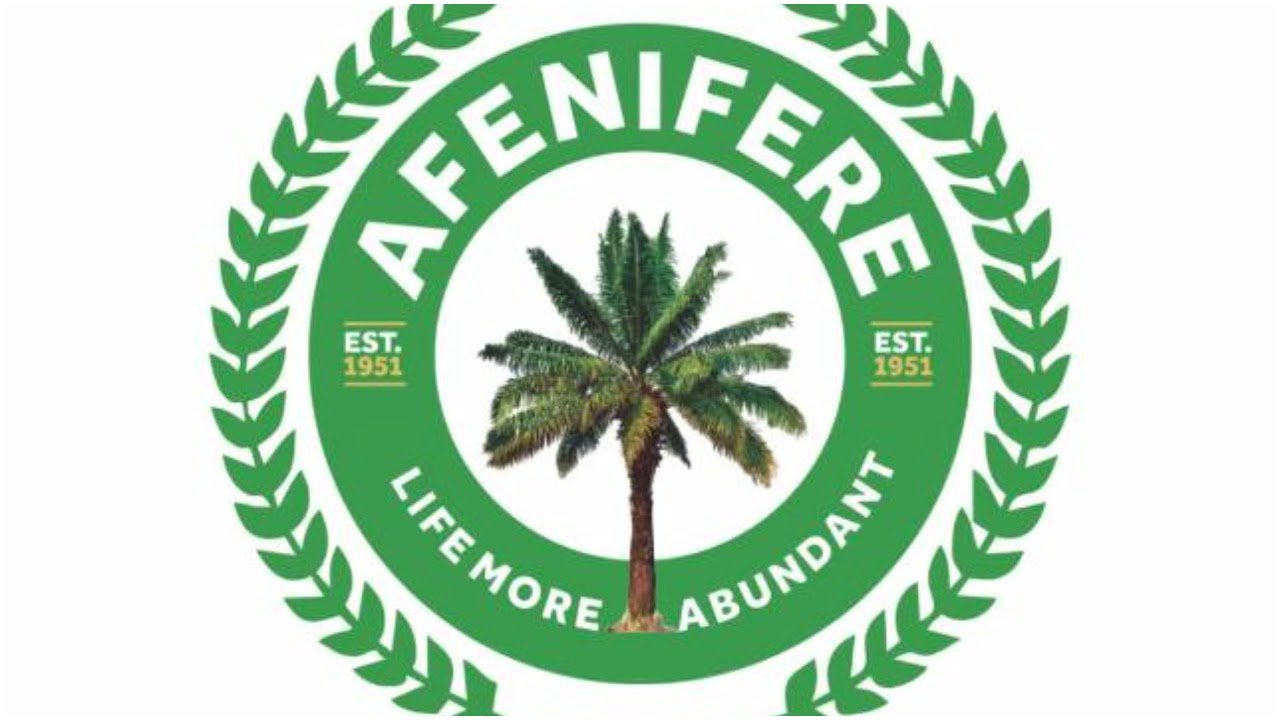 Afenifere Urges Issue-based Campaigns Ahead Of 2027 Elections