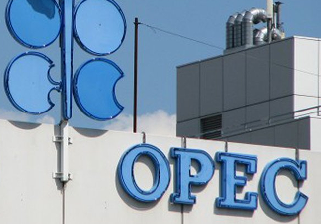 OPEC exit not directed against anyone – UAE official